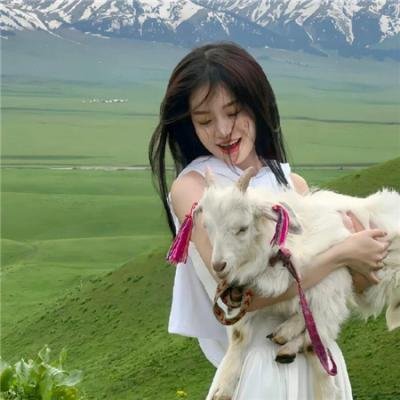 倾爱